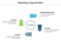 Marketing opportunities ppt powerpoint presentation infographic template portfolio cpb