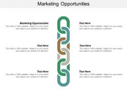 Marketing opportunities ppt powerpoint presentation summary diagrams cpb