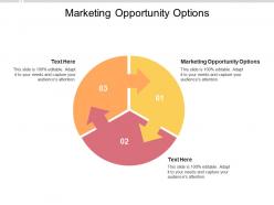 Marketing opportunity options ppt powerpoint presentation infographic template influencers cpb