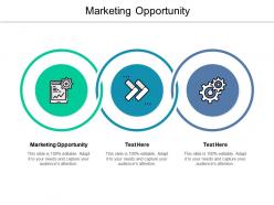 Marketing opportunity ppt powerpoint presentation summary model cpb