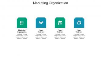 Marketing organization ppt powerpoint presentation ideas icon cpb