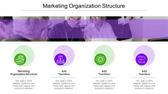 Marketing Organization Structure In Powerpoint And Google Slides Cpb