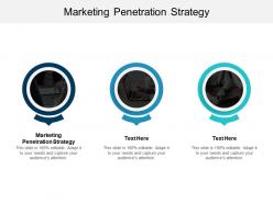 Marketing penetration strategy ppt powerpoint presentation gallery diagrams cpb