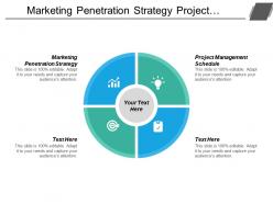 Marketing penetration strategy project management schedule target marketing strategies cpb