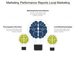 Marketing performance reports local marketing campaign psychographic information cpb