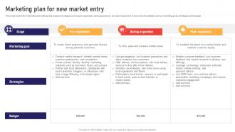 Marketing Plan For New Market Entry Global Business Strategies Strategy SS V