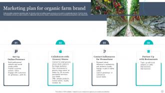 Marketing Plan For Organic Farm Brand