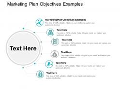 Marketing plan objectives examples ppt powerpoint presentation show graphics design cpb