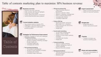 Marketing Plan To Maximize Spa Business Revenue Powerpoint Presentation Slides Strategy CD V Aesthatic Pre-designed