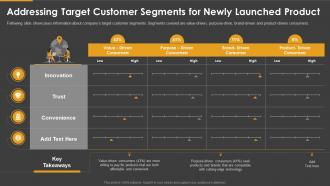 Marketing playbook addressing target customer segments for newly launched product