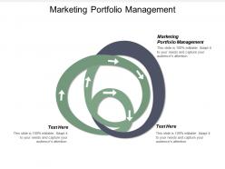 Marketing portfolio management ppt powerpoint presentation file ideas cpb