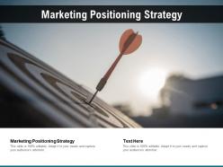 Marketing positioning strategy ppt powerpoint presentation layouts vector cpb