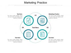 Marketing practice ppt powerpoint presentation icon ideas cpb