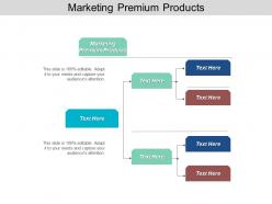 Marketing premium products ppt powerpoint presentation file graphics pictures cpb