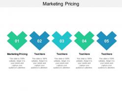 Marketing pricing ppt powerpoint presentation show visual aids cpb