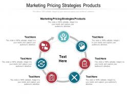 Marketing pricing strategies products ppt powerpoint presentation designs cpb