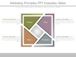 Marketing principles ppt examples slides