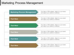 marketing_process_management_ppt_powerpoint_presentation_layouts_example_cpb_Slide01
