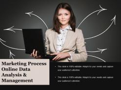 Marketing process online data analysis and management