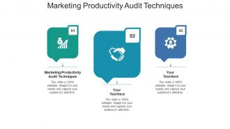 Marketing productivity audit techniques ppt powerpoint presentation ideas background cpb