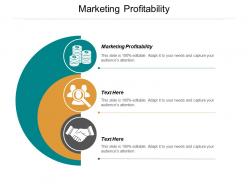 Marketing profitability ppt powerpoint presentation file objects cpb