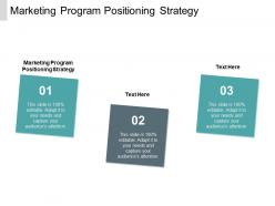 Marketing program positioning strategy ppt powerpoint presentation professional maker cpb