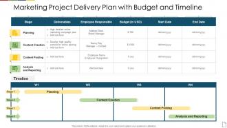 Marketing project delivery plan with budget and timeline