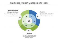 Marketing project management tools ppt powerpoint presentation file examples cpb