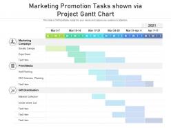 Marketing promotion tasks shown via project gantt chart