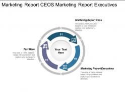 Marketing report ceos marketing report executives marketing report generator cpb