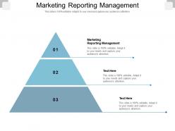 Marketing reporting management ppt powerpoint presentation portfolio gallery cpb