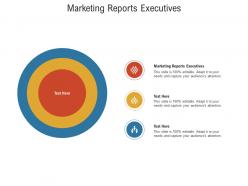 Marketing reports executives ppt powerpoint presentation file graphics template cpb