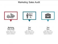 Marketing sales audit ppt powerpoint presentation ideas templates cpb