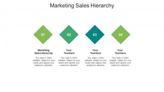 Marketing sales hierarchy ppt powerpoint presentation icon model cpb