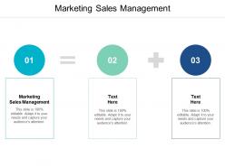Marketing sales management ppt powerpoint presentation styles influencers cpb