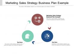 Marketing sales strategy business plan example ppt powerpoint presentation model templates cpb