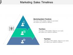Marketing sales timelines ppt powerpoint presentation ideas portrait cpb