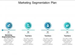 Marketing segmentation plan ppt powerpoint presentation professional outline cpb