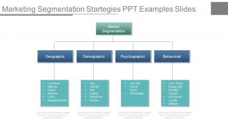 Marketing segmentation startegies ppt examples slides