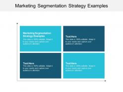 Marketing segmentation strategy examples ppt powerpoint presentation ideas cpb