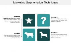 Marketing segmentation techniques ppt powerpoint presentation ideas maker cpb
