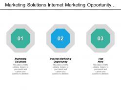 Marketing solutions internet marketing opportunity enterprise risk management cpb