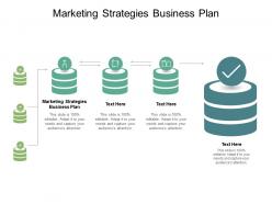 Marketing strategies business plan ppt powerpoint presentation icon slides cpb