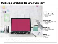Marketing Strategies For Small Company