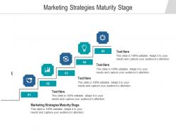 Marketing strategies maturity stage ppt powerpoint presentation background images cpb