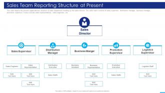 Marketing Strategies Playbook Team Reporting Structure At Present