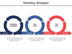 Marketing strategies ppt powerpoint presentation file elements cpb