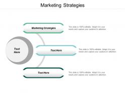 marketing_strategies_ppt_powerpoint_presentation_icon_professional_cpb_Slide01