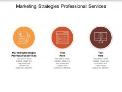 Marketing strategies professional services ppt powerpoint presentation model show cpb