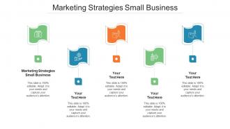 Marketing Strategies Small Business Ppt Powerpoint Presentation Summary Styles Cpb